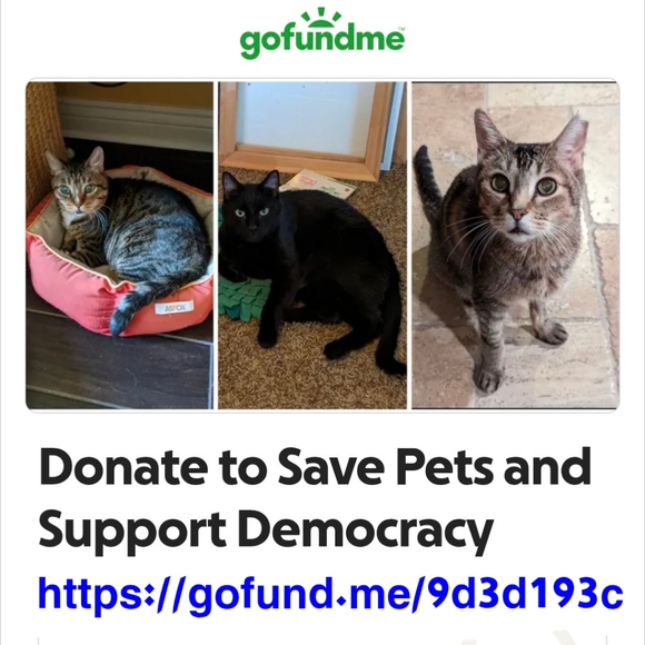 Meet your Posher, Adrienne - Picture 3 of 16